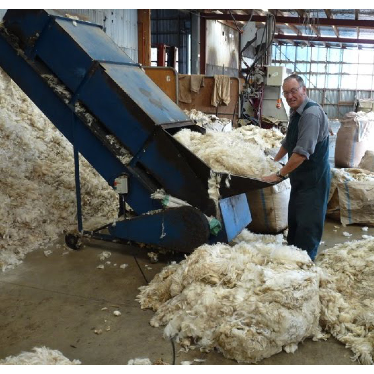 merino wool