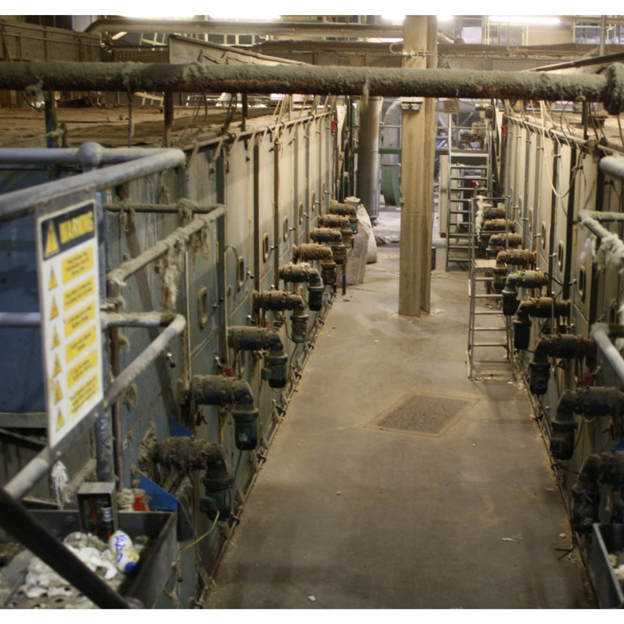 merino wool