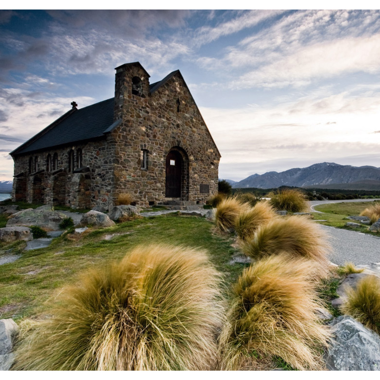 merino wool