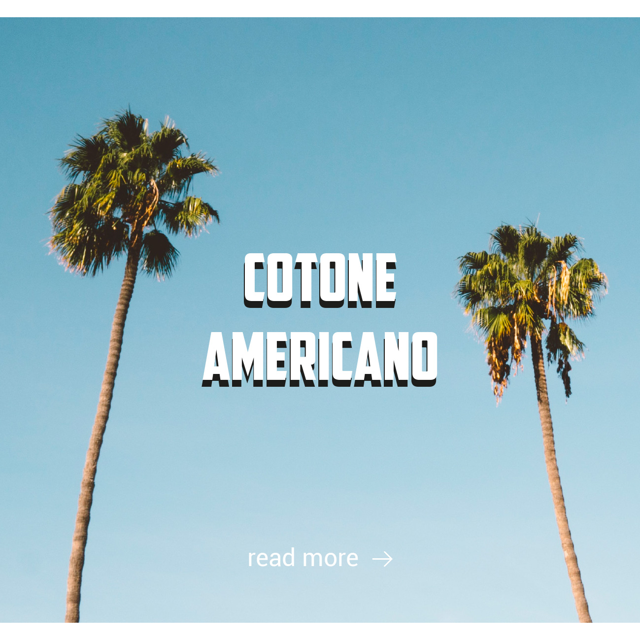 american cotton