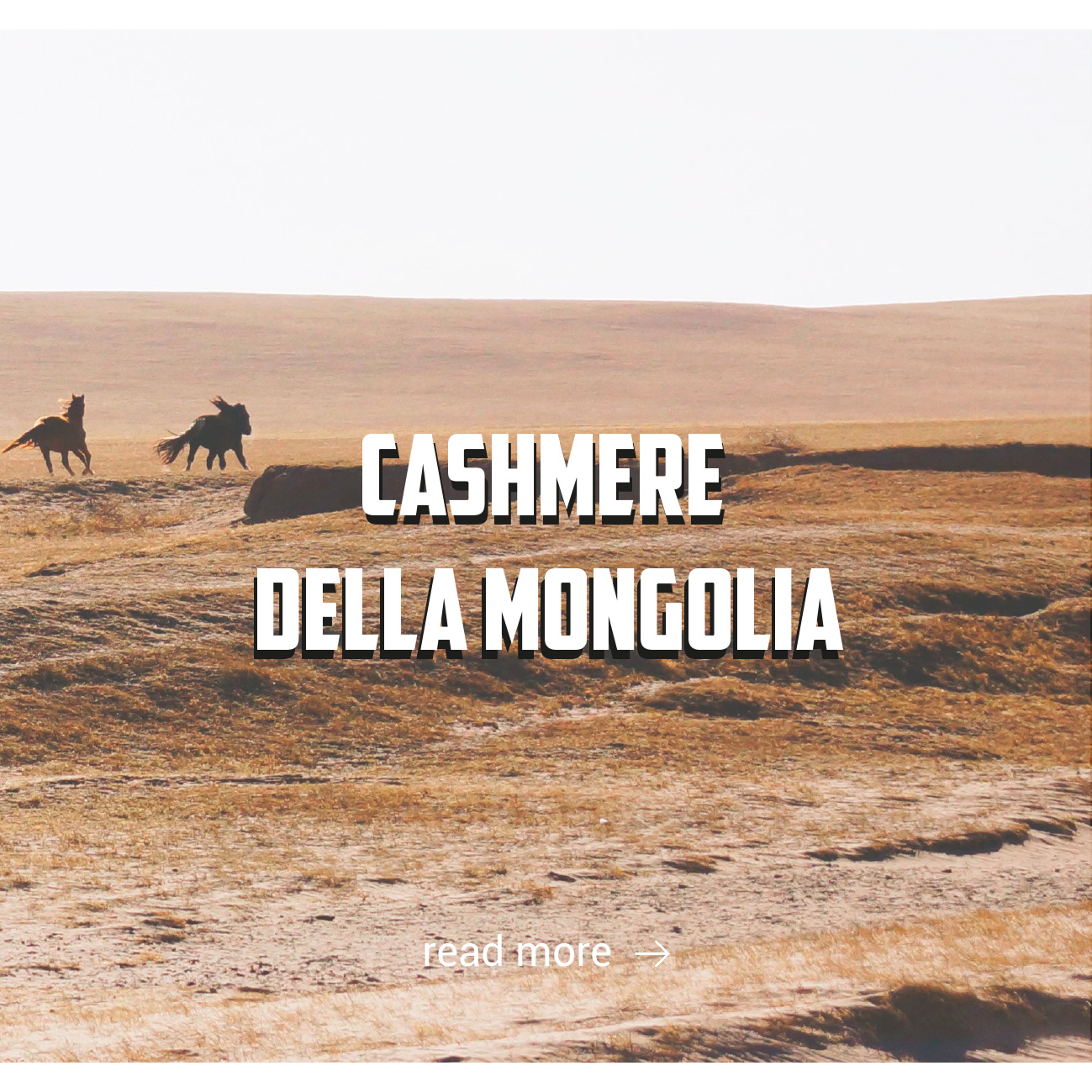 mongolian cachemere